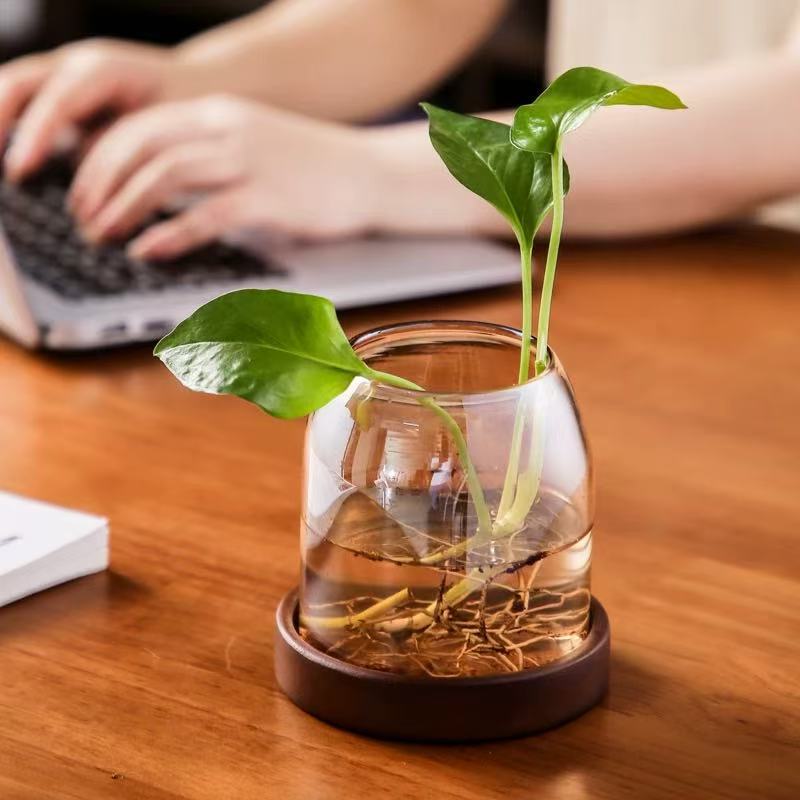 Cache-pot en verre vintage Ø 11 cm avec soucoupe en bois