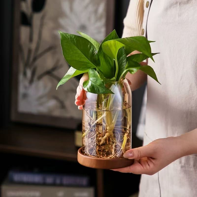 Cache-pot en verre vintage Ø 11 cm avec soucoupe en bois