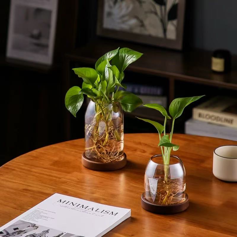 Cache-pot en verre vintage Ø 11 cm avec soucoupe en bois