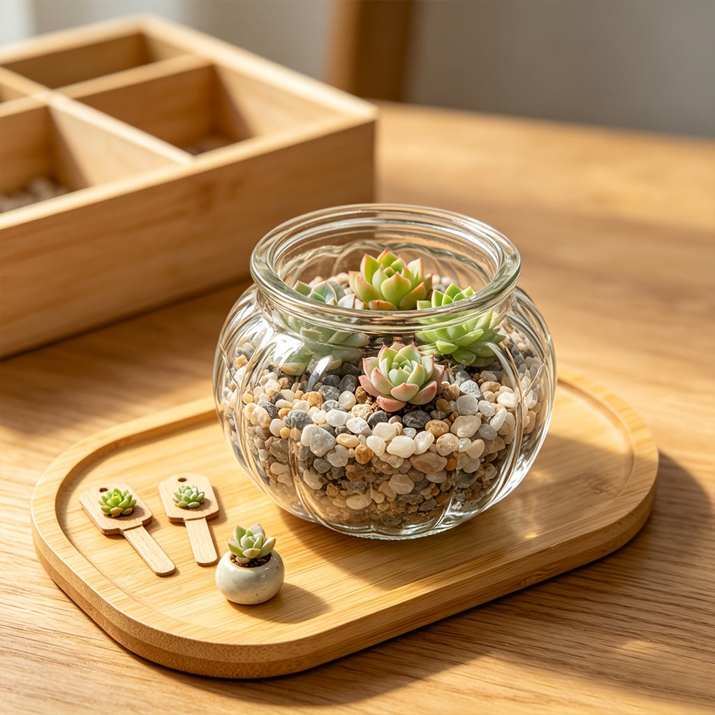 Pot de fleur en verre, ovale, culture hydroponique, gros plan