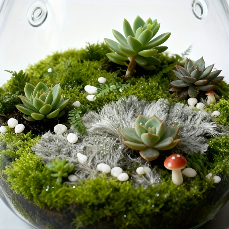 Pot de fleur en verre, rond pour bonsaï, vue d'ensemble