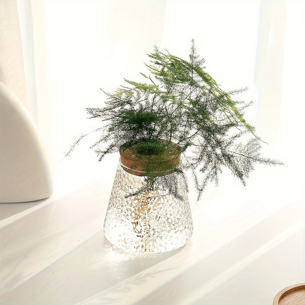 Pot de fleur en verre, culture hydroponique pour bouturage, visuel produit