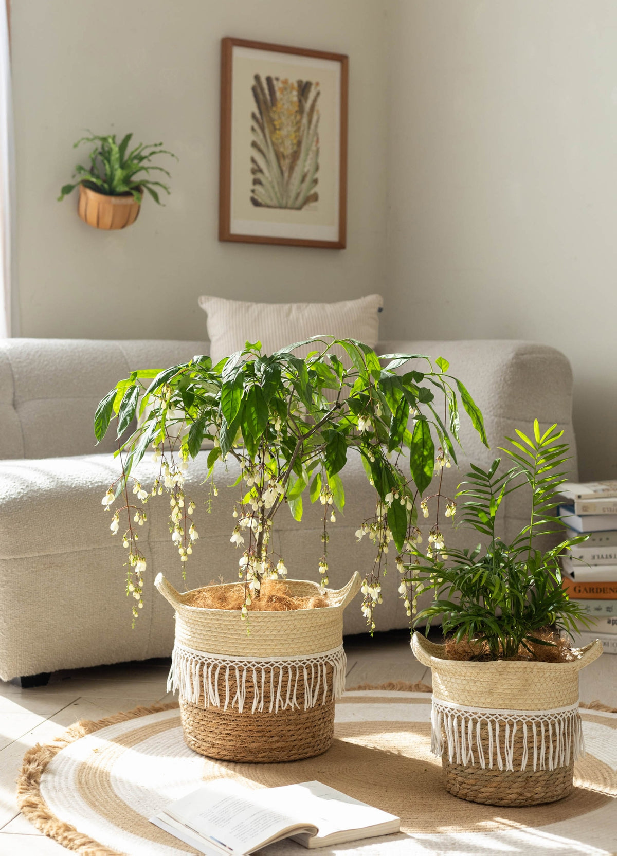 Cache-pot en osier tressé à franges macramé pour intérieur