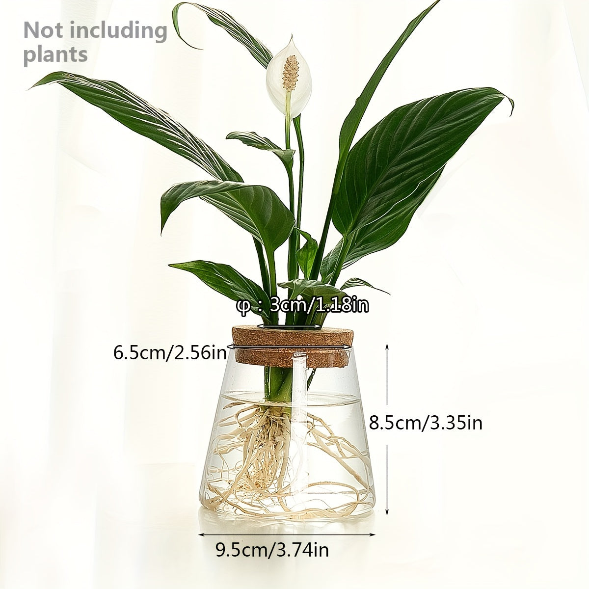 Pot de fleur en verre, culture hydroponique pour bouturage — détail de la matière : verre
