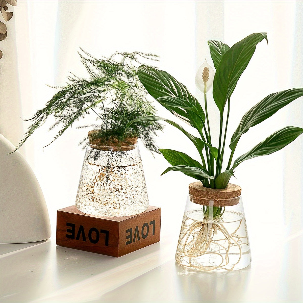Pot de fleur en verre, culture hydroponique pour bouturage