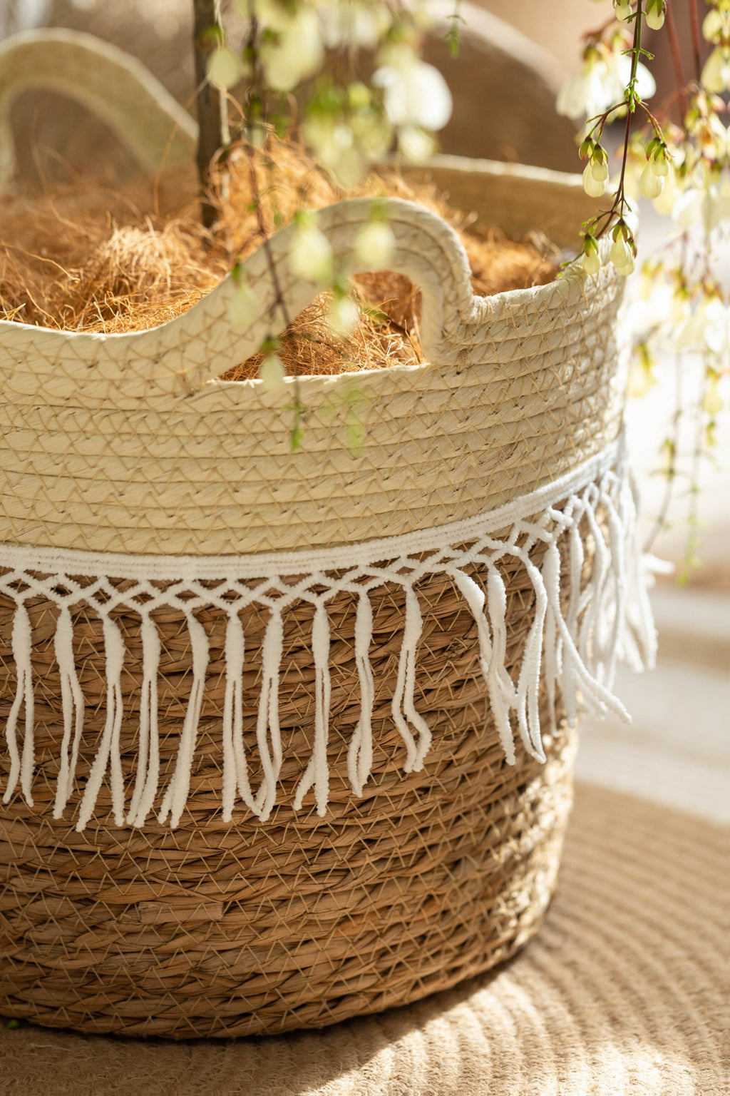 Cache-pot en osier tressé à franges macramé pour intérieur