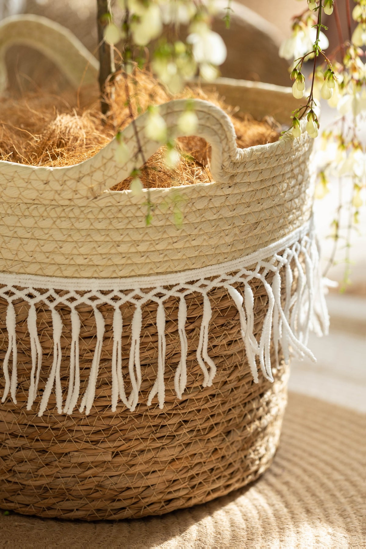 Cache-pot en osier tressé à franges macramé pour intérieur