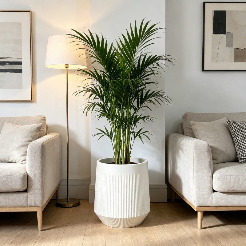 Grand cache-pot blanc Ø 30 cm en résine, soucoupe incluse