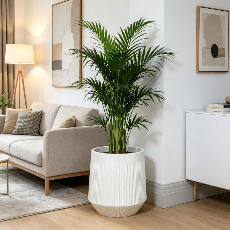 Grand cache-pot blanc Ø 30 cm en résine, soucoupe incluse
