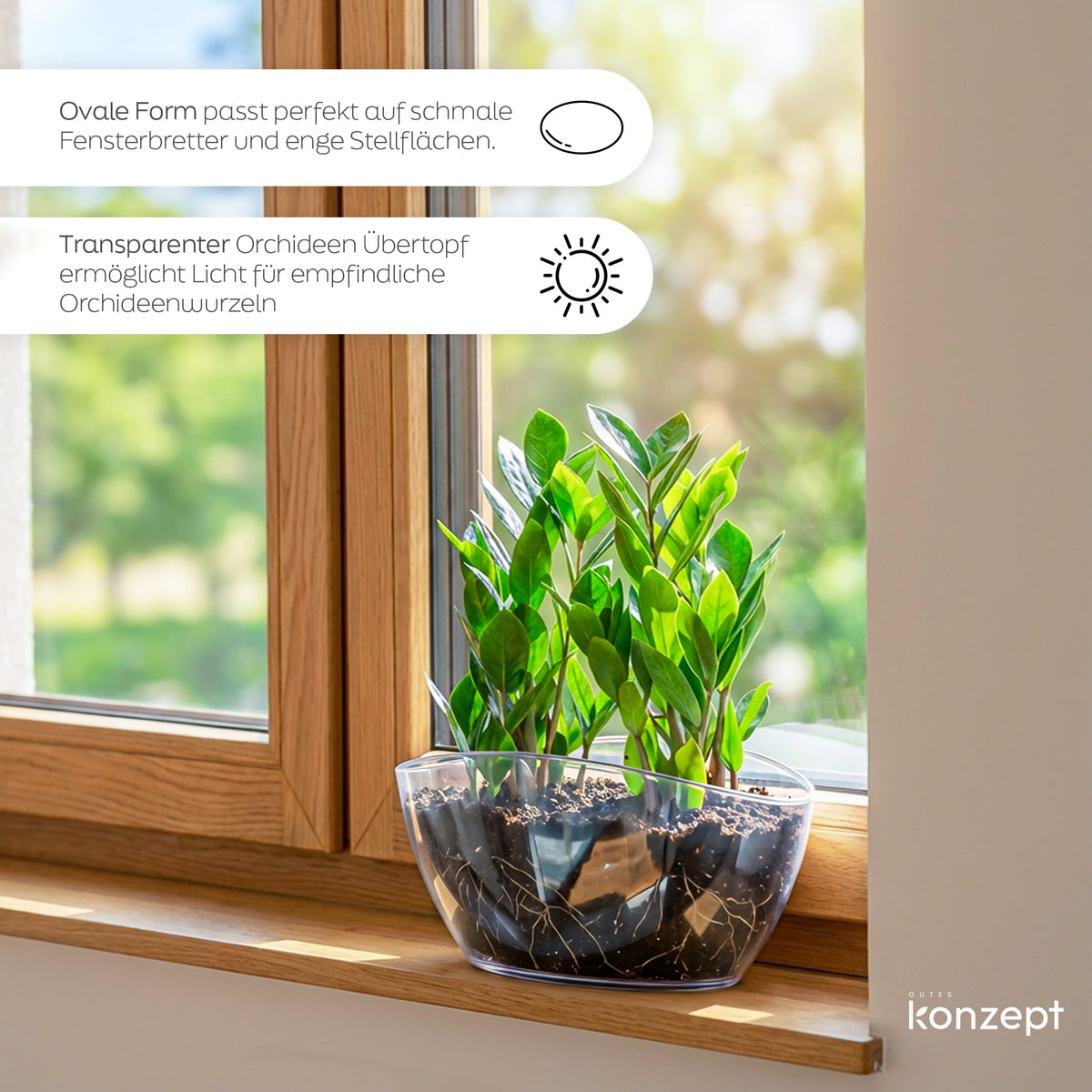 Grand cache-pot ovale 35 cm pour orchidées et succulentes