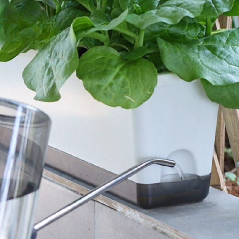 Jardinière auto-arrosante 43 cm à réserve d'eau, lot de 2