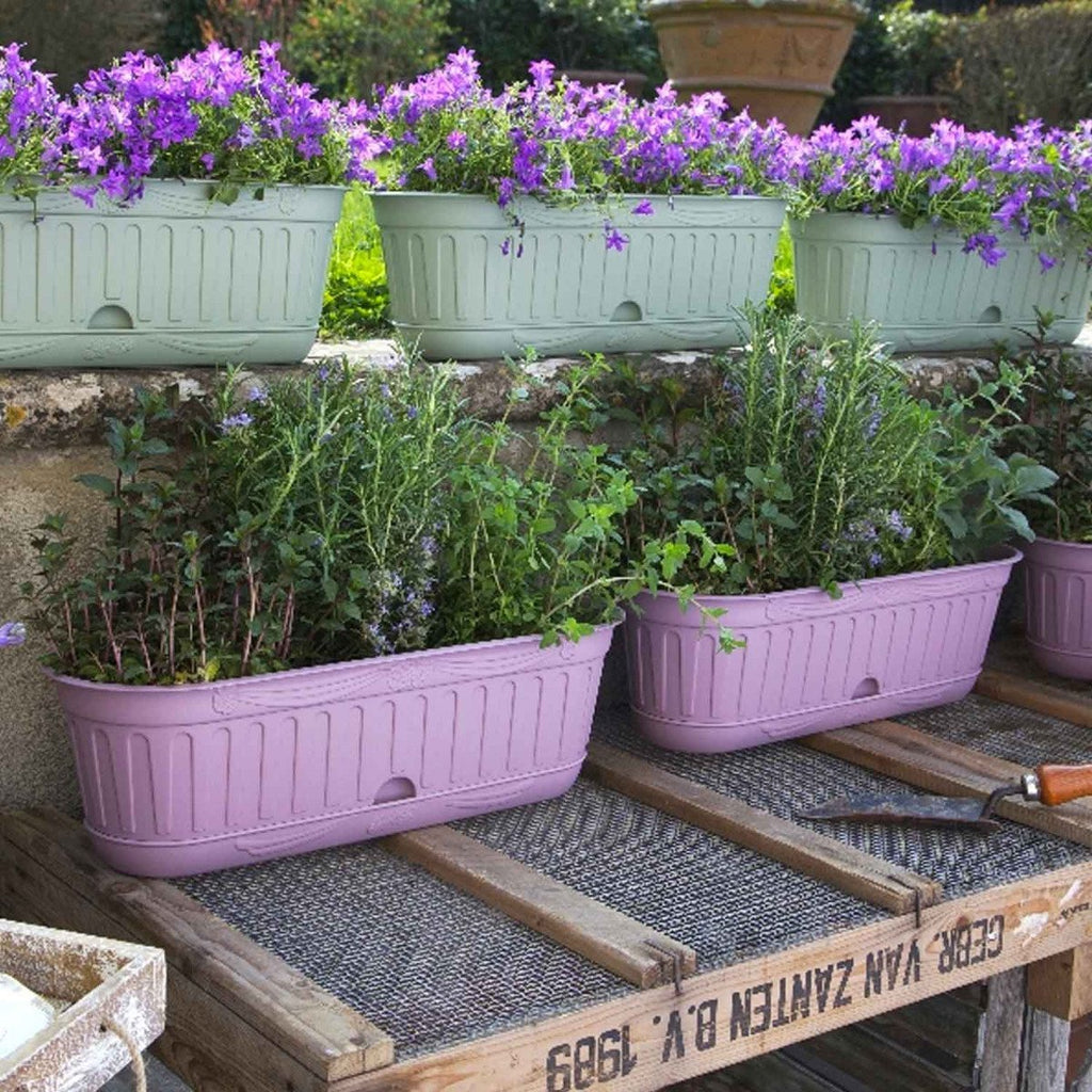 Jardinière de balcon en résine lavande — lot de 6 bacs à fleurs