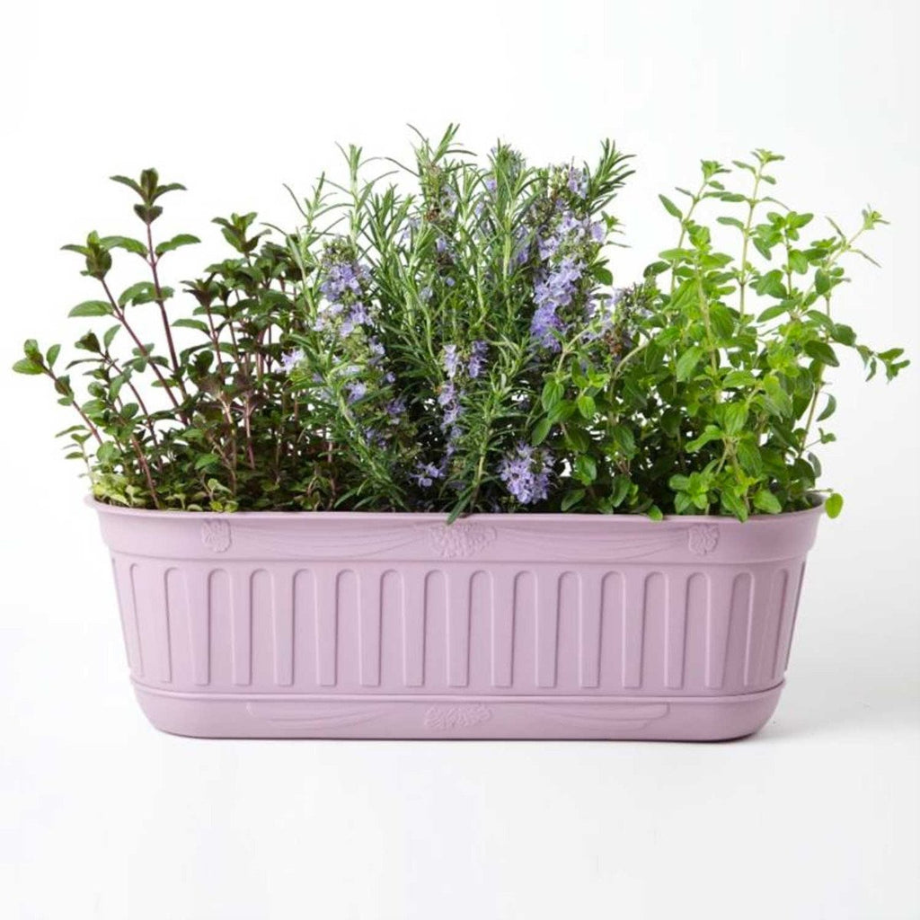 Jardinière de balcon en résine lavande — lot de 6 bacs à fleurs