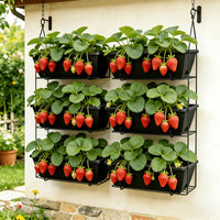 Jardinière de balcon noire 42x17 cm — lot de 8 avec soucoupes