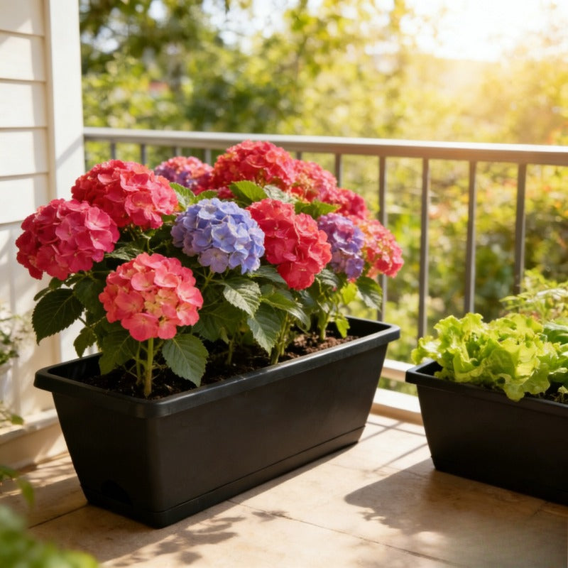 Jardinière de balcon noire 42x17 cm — lot de 8 avec soucoupes