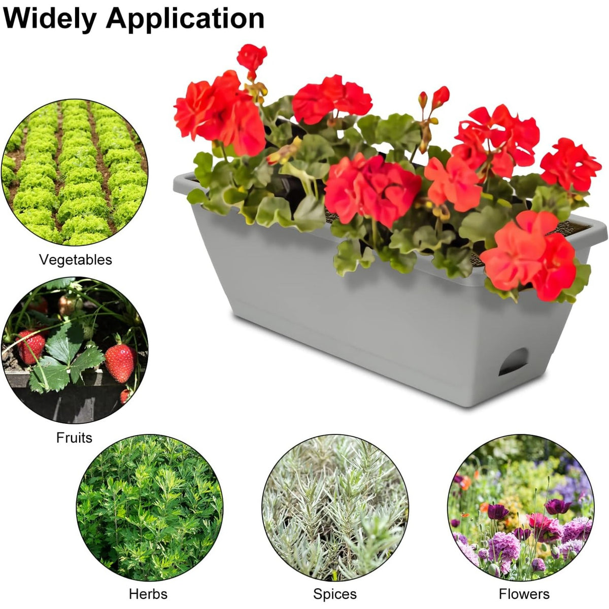 Jardinière de balcon rectangulaire grise — lot de 6 avec soucoupes