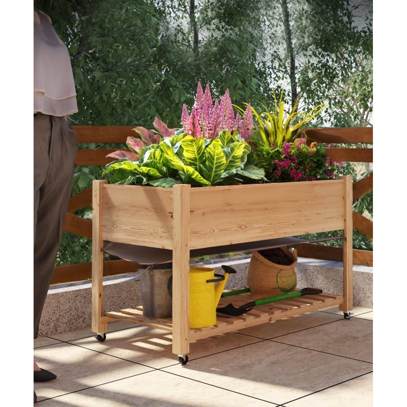 taille : couleur bois naturel