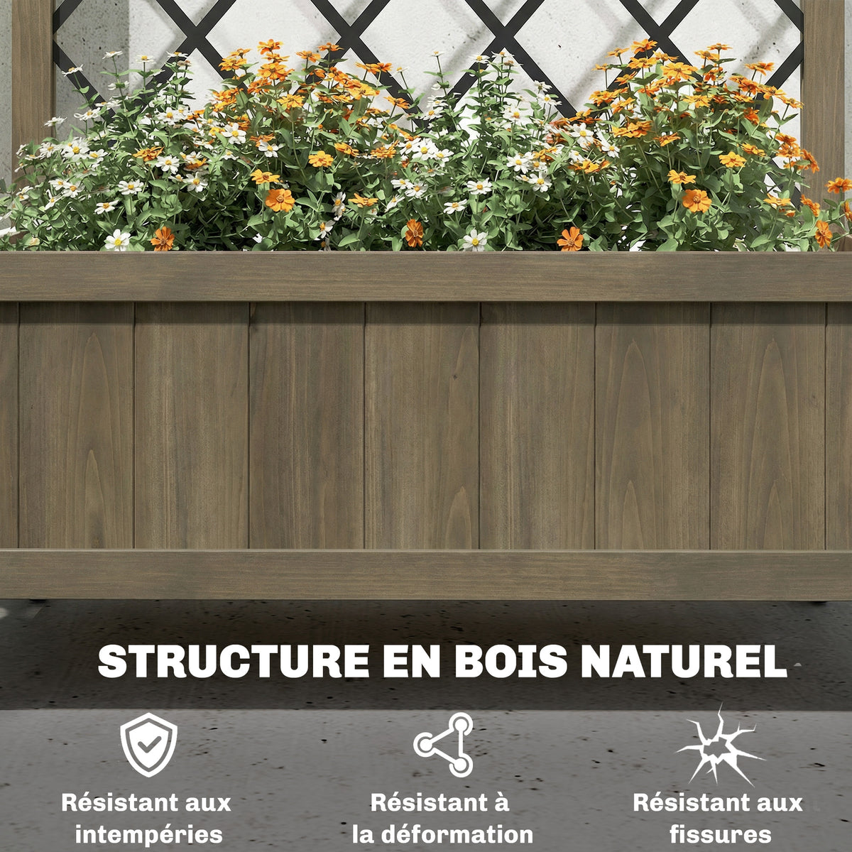 Jardinière en bois avec treillis brise-vue sur roulettes 72 cm