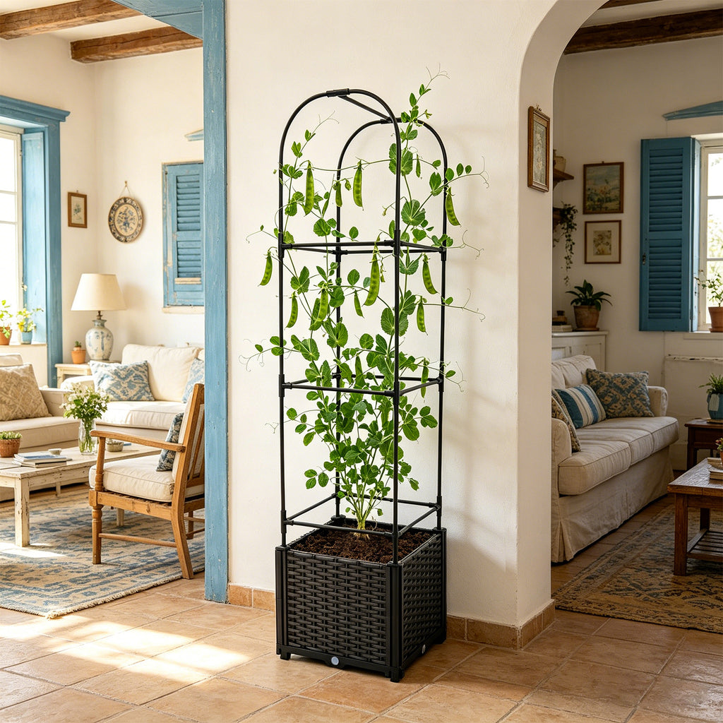 Jardinière carrée noire avec treillis arche 160 cm de haut