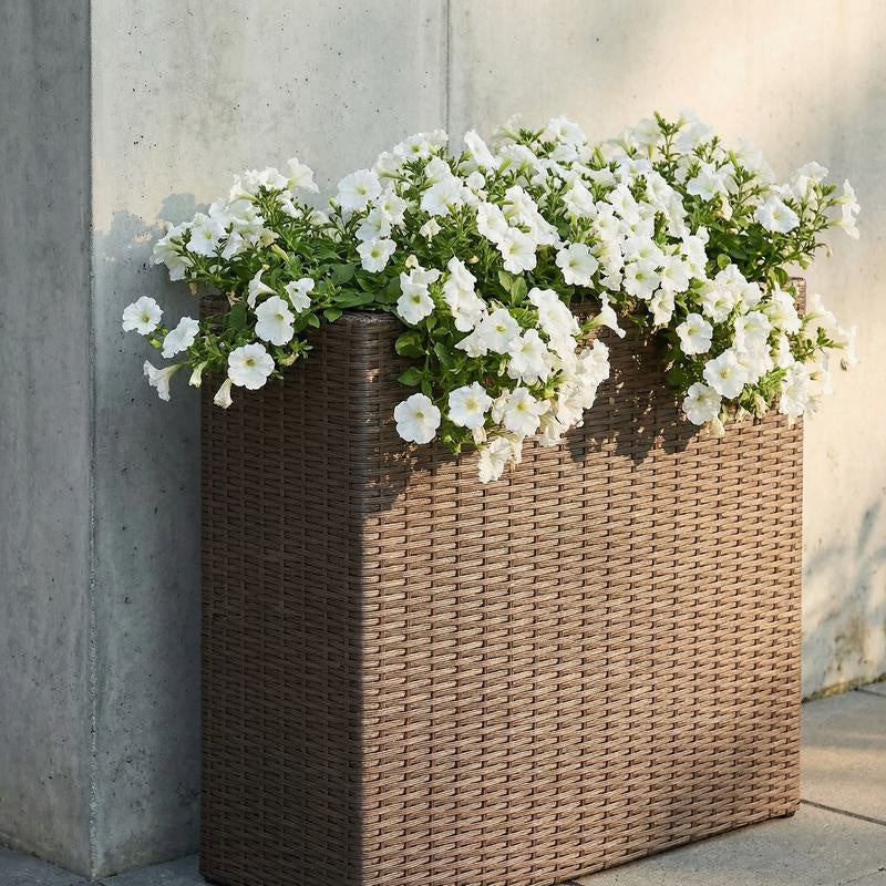 Jardinière haute en polyrotin marron avec 4 bacs amovibles