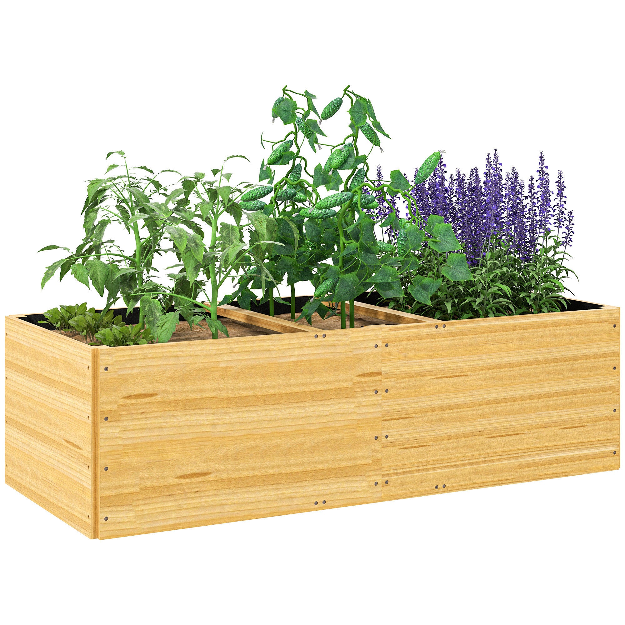 Bois naturel Image