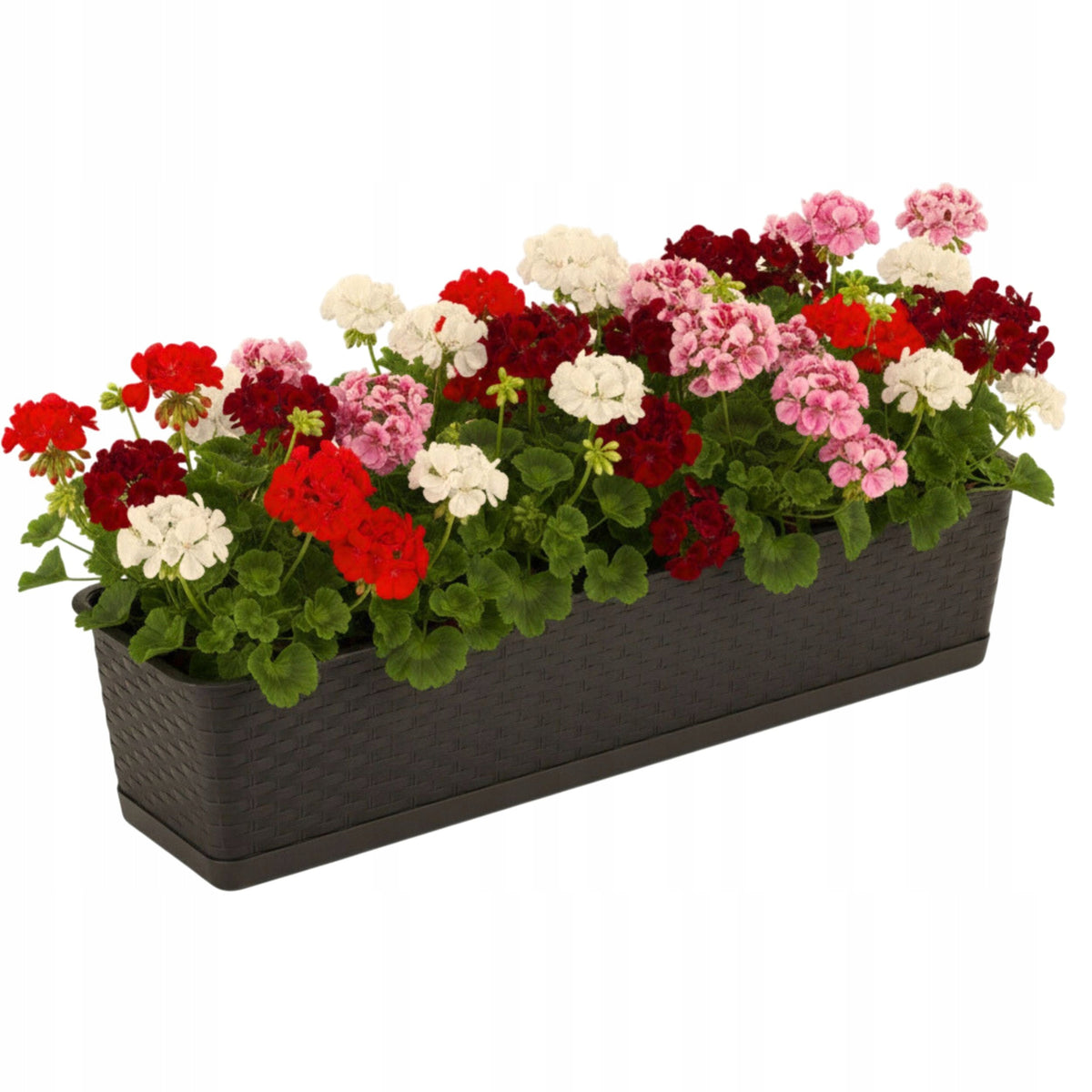 Jardinière rectangulaire 79 cm effet rotin — Lot de 2 pour balcon