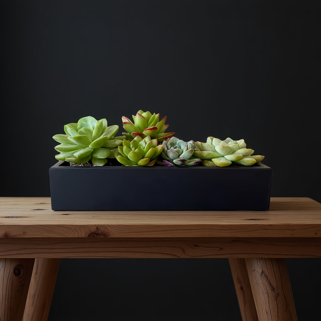 Jardinière rectangulaire en métal noir 40 cm pour rebord de fenêtre