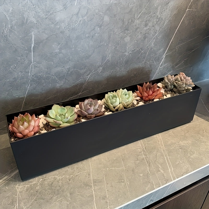 Jardinière rectangulaire noire 40x8x9 cm en métal pour succulentes