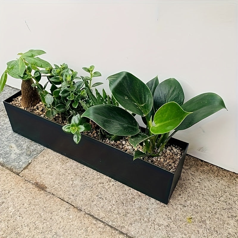 Jardinière rectangulaire noire 40x8x9 cm en métal pour succulentes