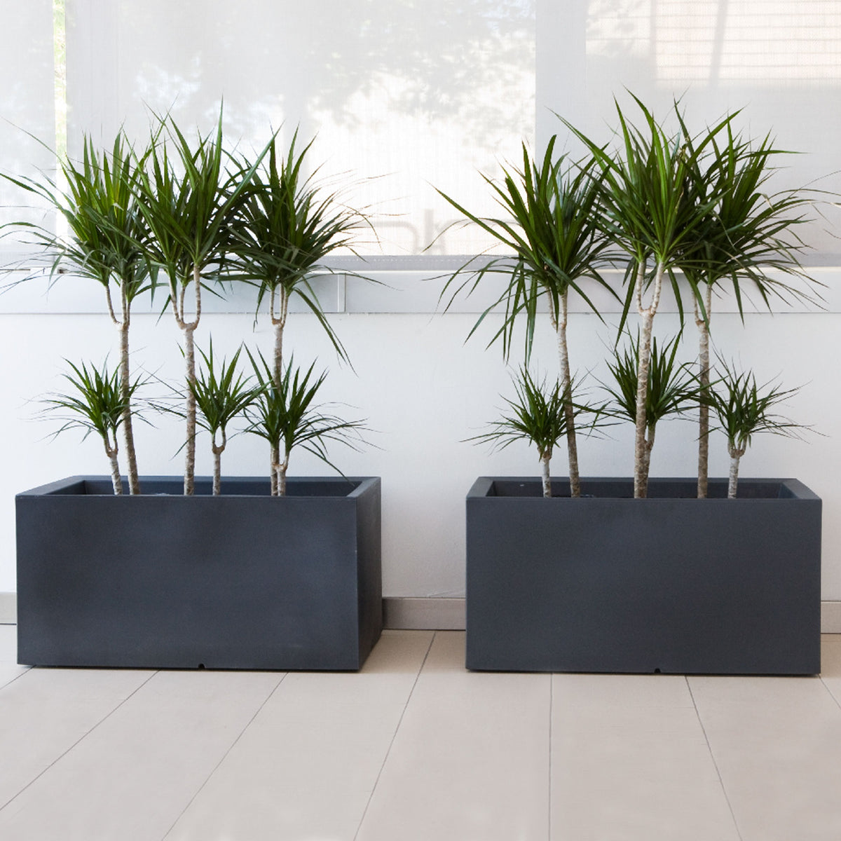 Jardinière rectangulaire XXL brun bronze à réserve d'eau