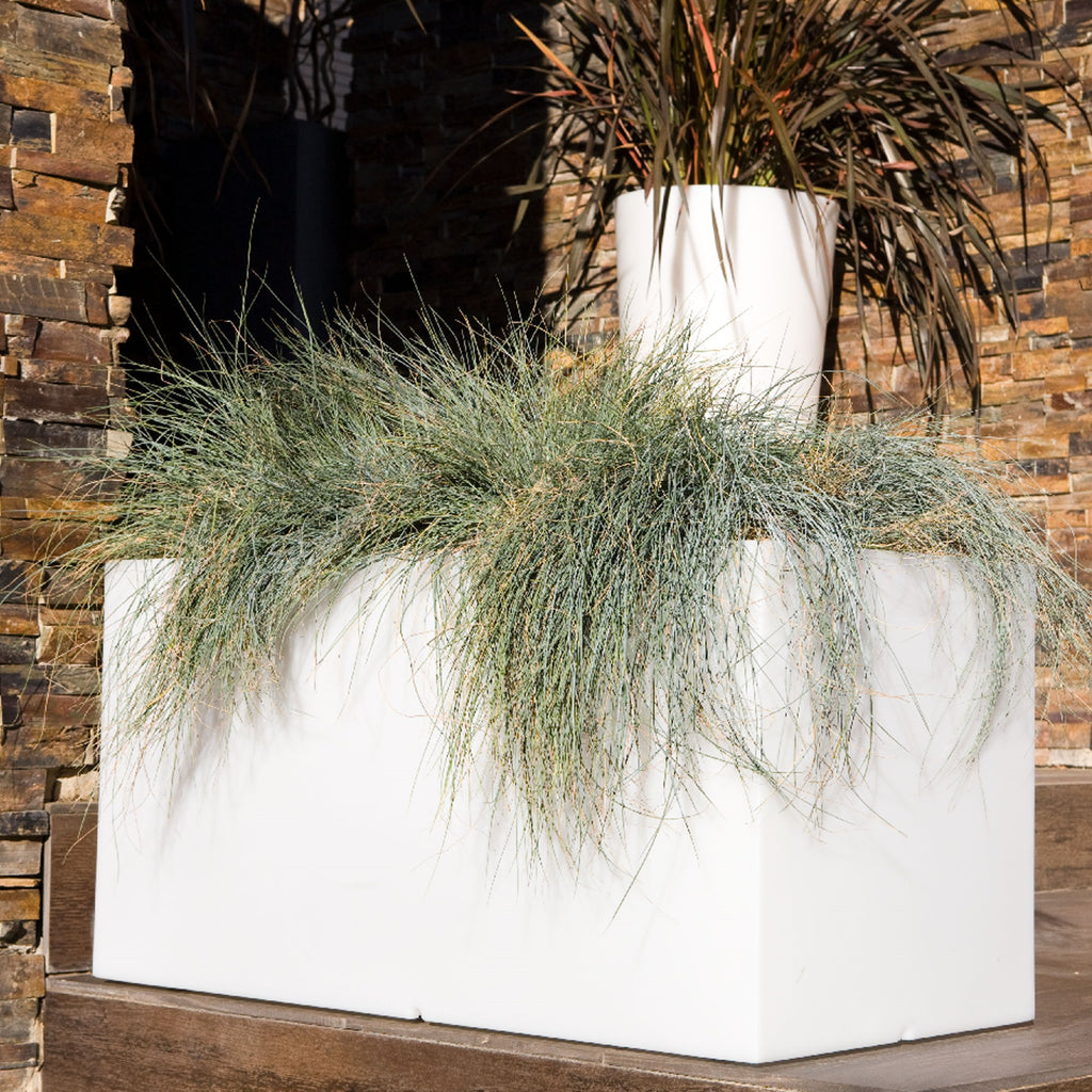 Jardinière rectangulaire XXL brun bronze à réserve d'eau