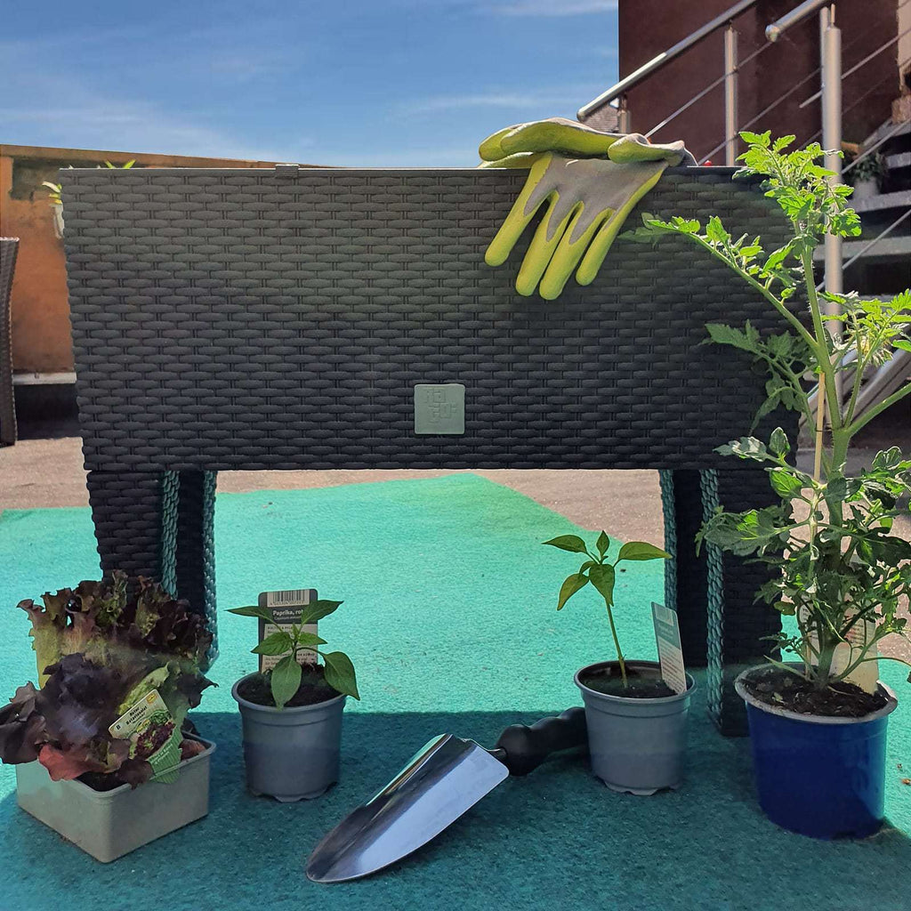 Jardinière sur pied 60 cm anthracite — Réserve d'eau 30 L