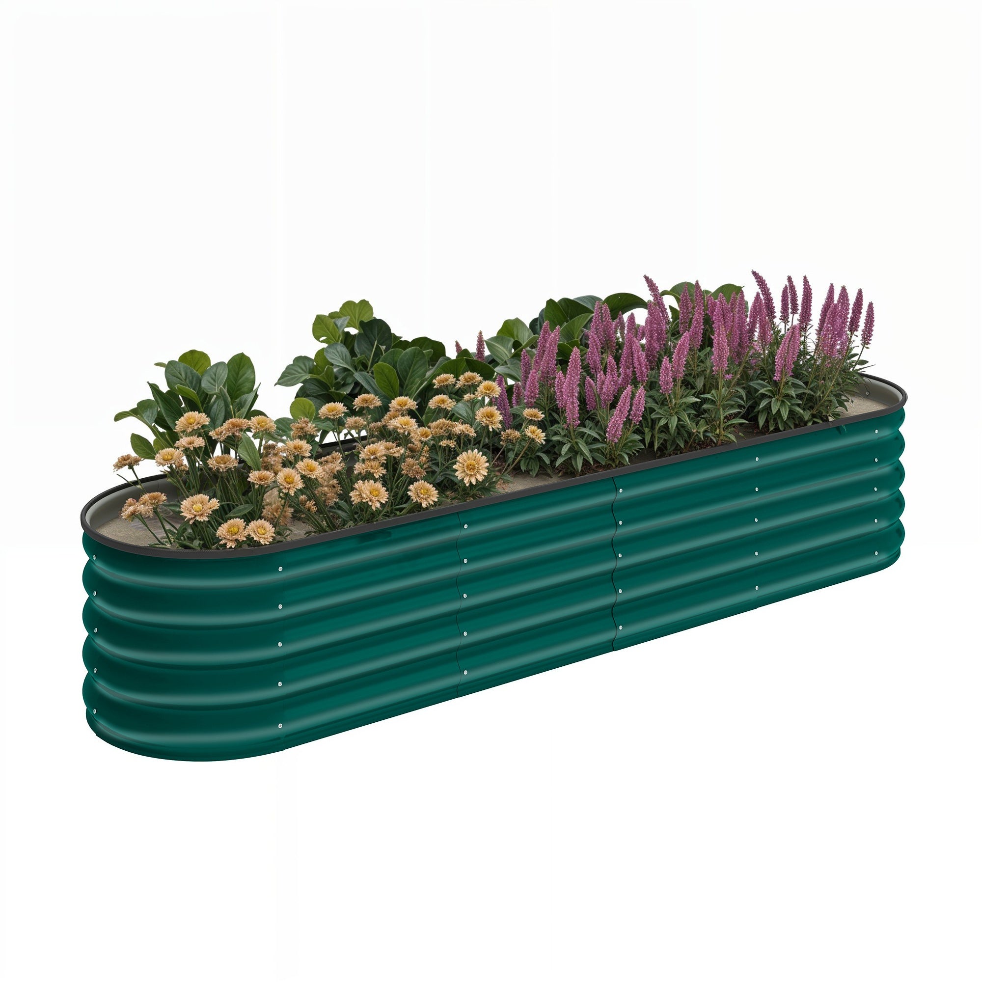 Vert foncé Image