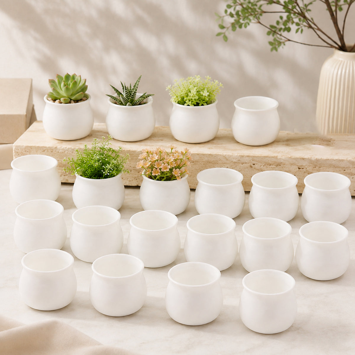 20 réservoirs de millet blanc