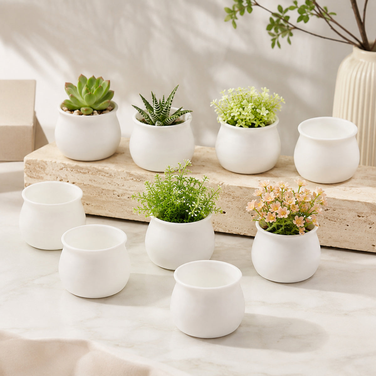 Lot de 20 mini pots de fleurs Ø 5 cm en plastique blanc ou noir