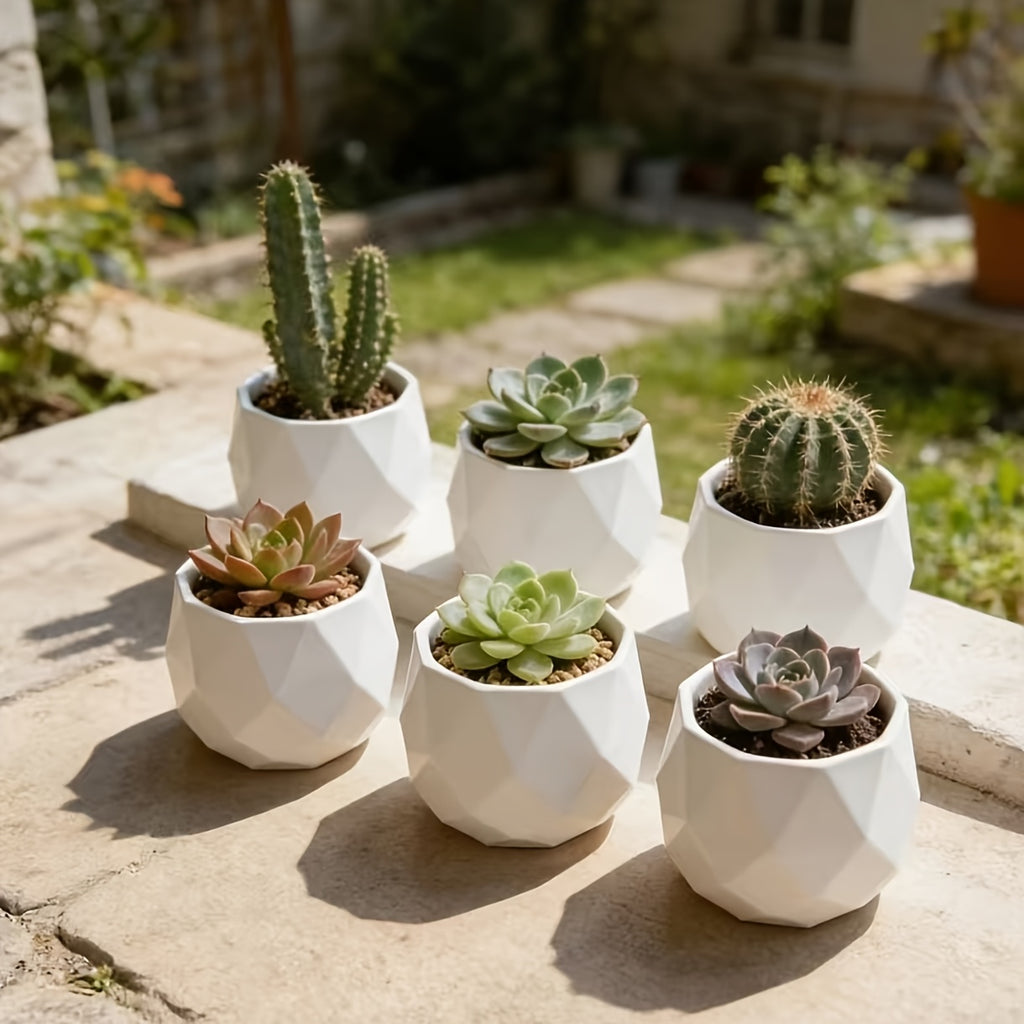 Mini pot de fleur blanc géométrique Ø 6 cm pour succulente