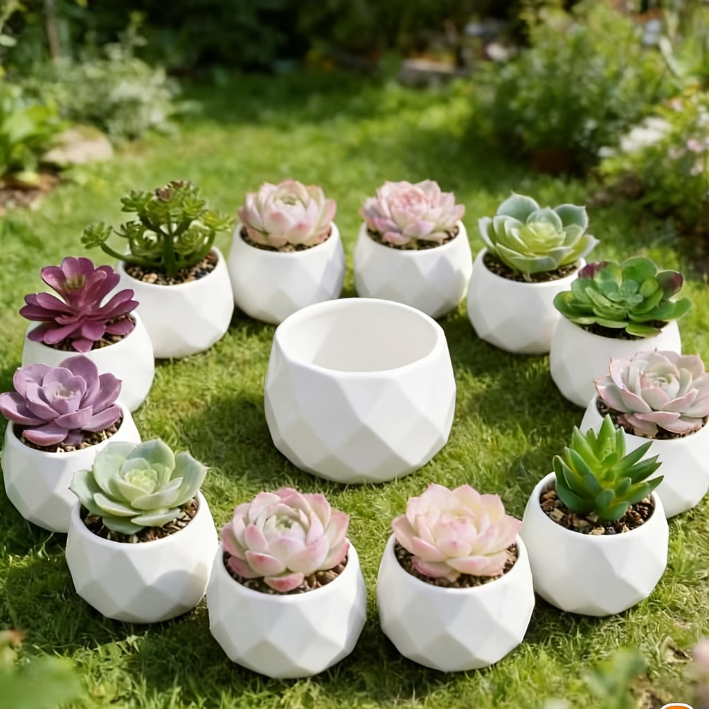 Mini pot de fleur blanc géométrique Ø 6 cm pour succulente