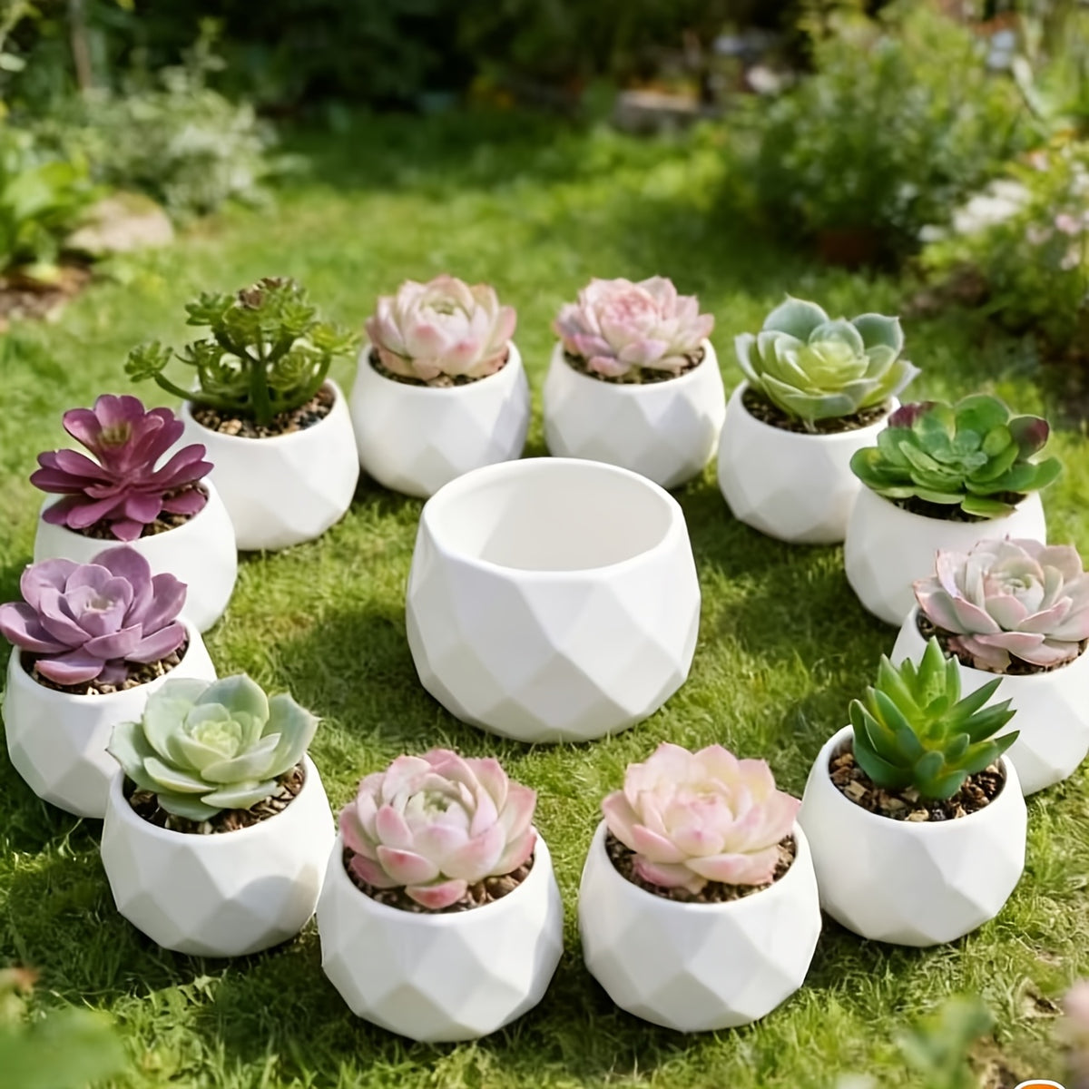 Mini pot de fleur blanc géométrique Ø 6 cm pour succulente