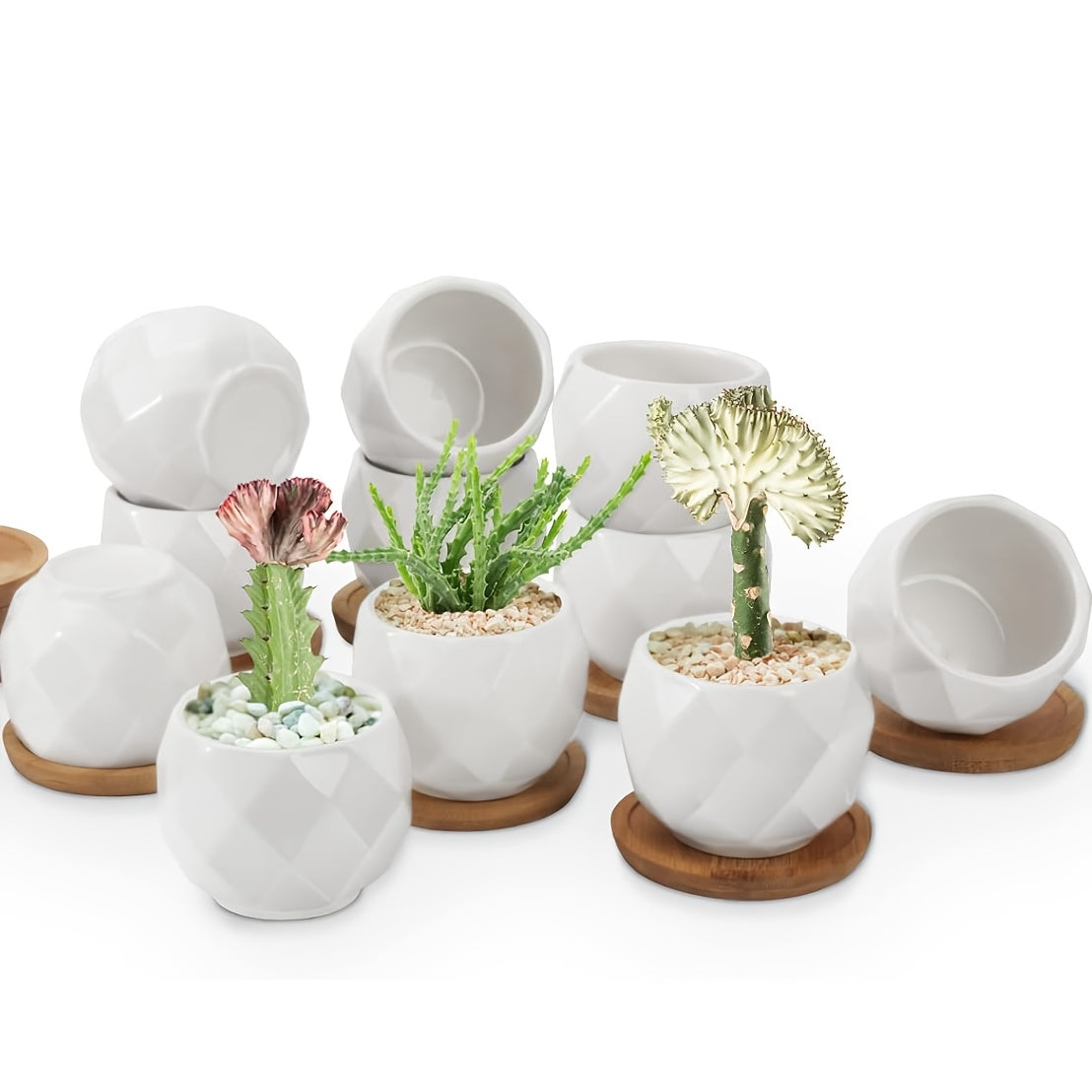 Mini pot de fleur blanc géométrique Ø 6 cm pour succulente