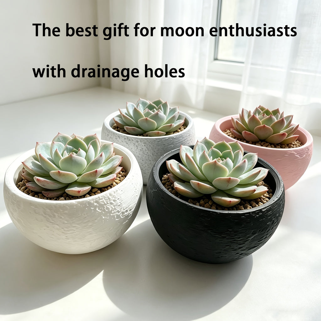description_selected1