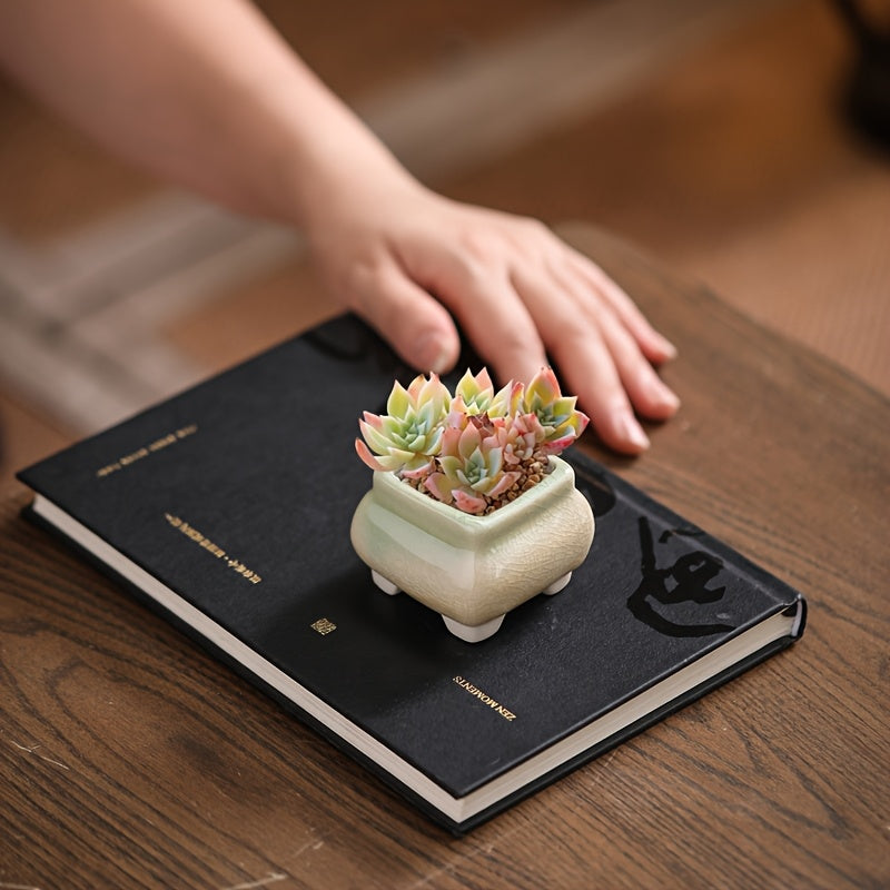 Mini pots de fleurs en céramique craquelée - lot de 8, 6 cm