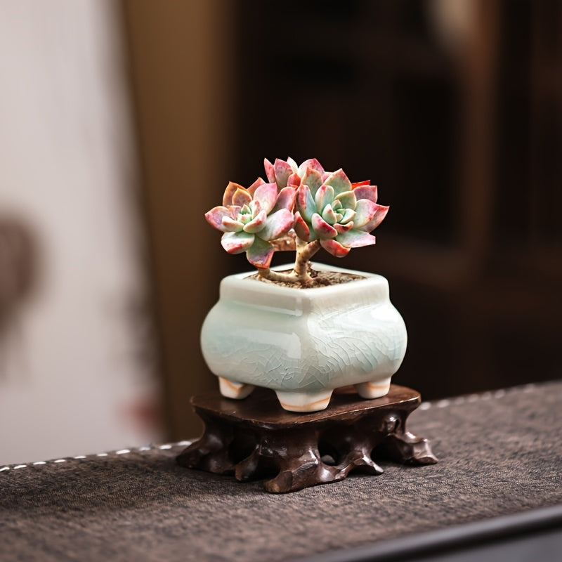 Mini pots de fleurs en céramique craquelée - lot de 8, 6 cm