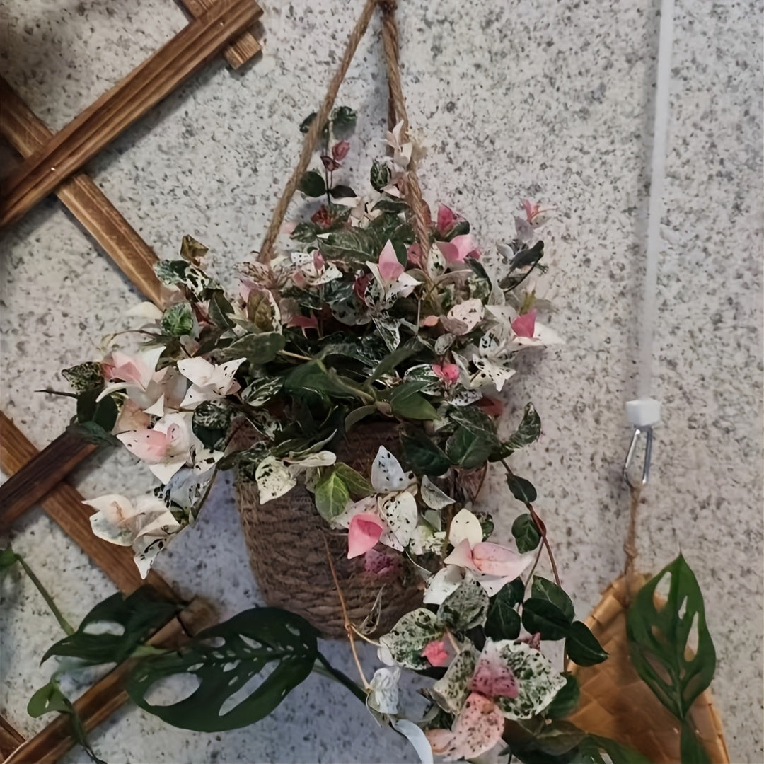 Panier cache-pot suspendu en jute tressée, lot de 2, Ø 18 cm