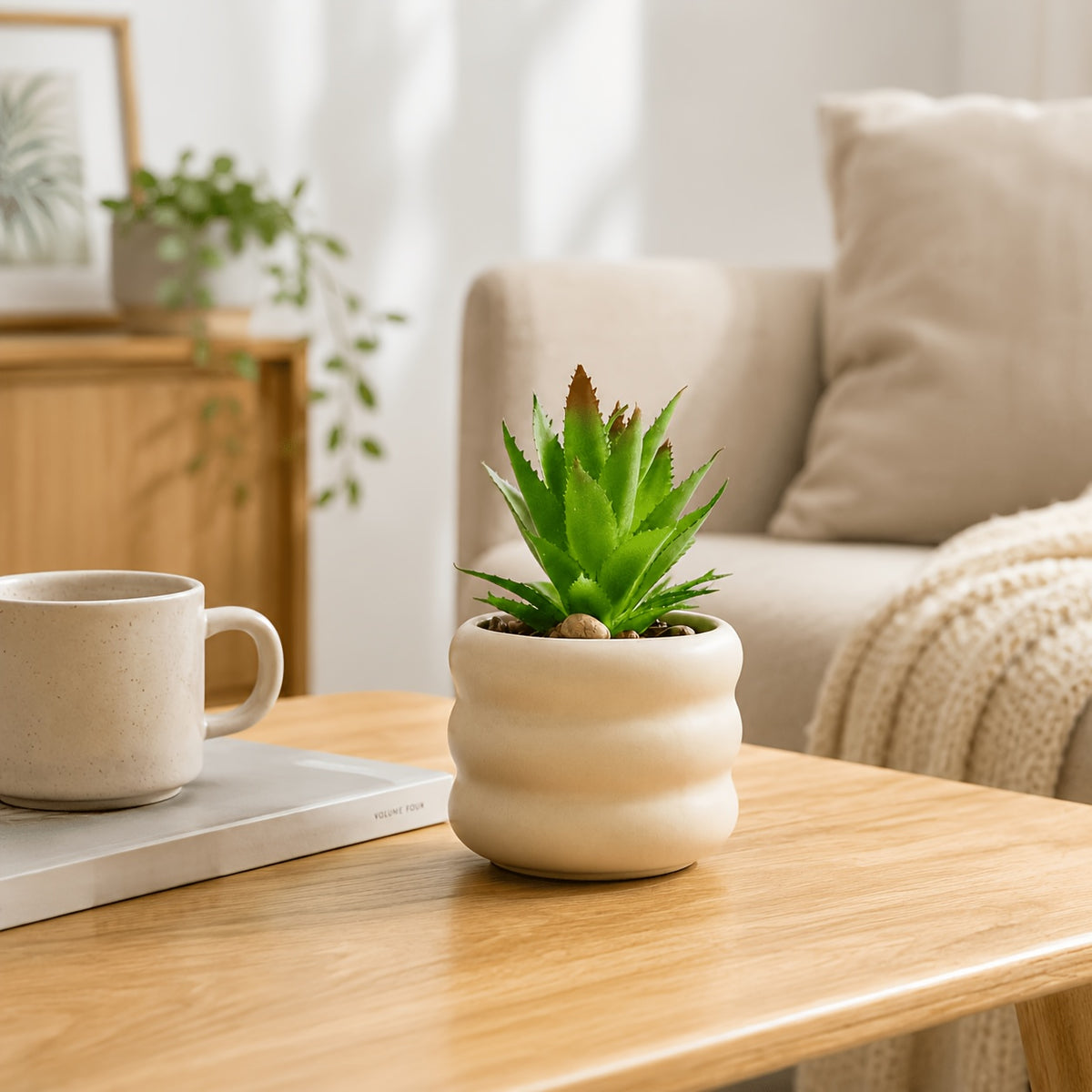 Aloe Vera (Pot en Céramique)