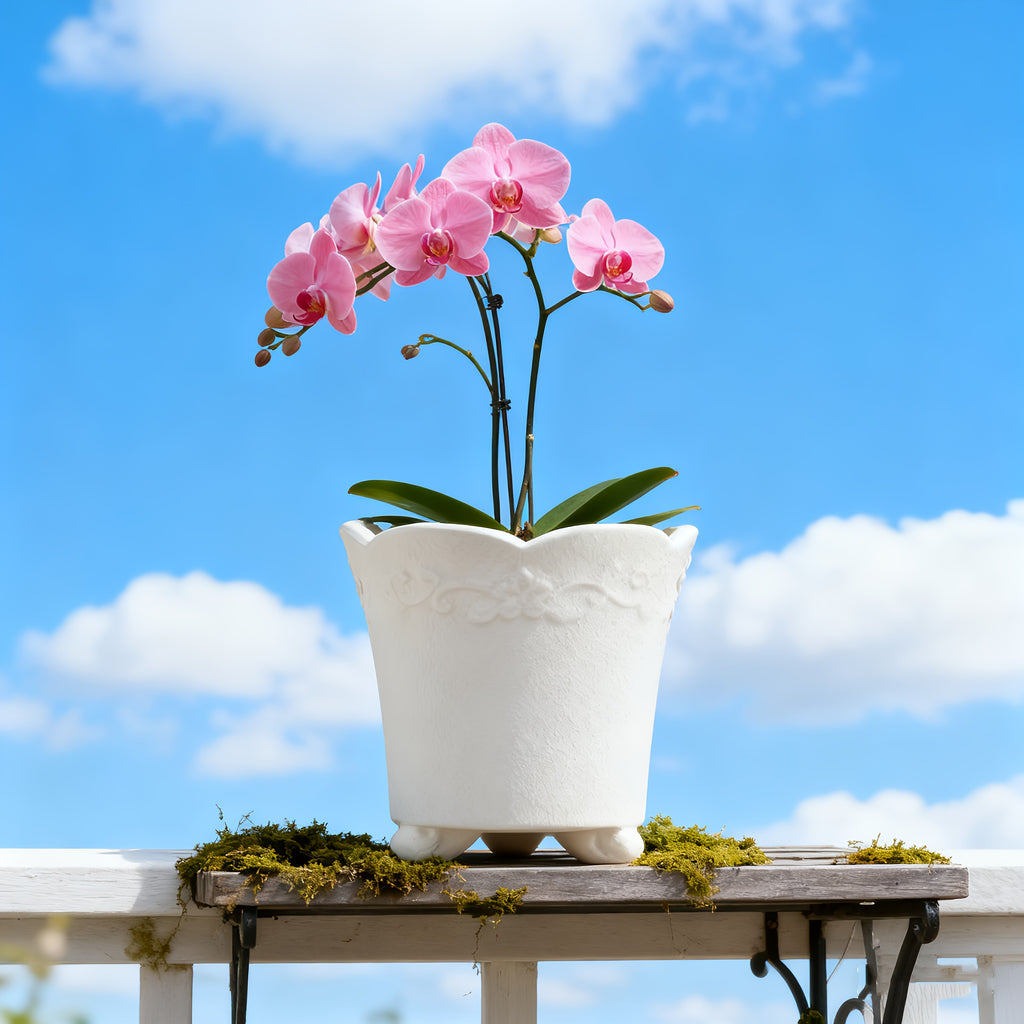 Petit pot de fleur en céramique émaillée Ø 15 cm, décor floral