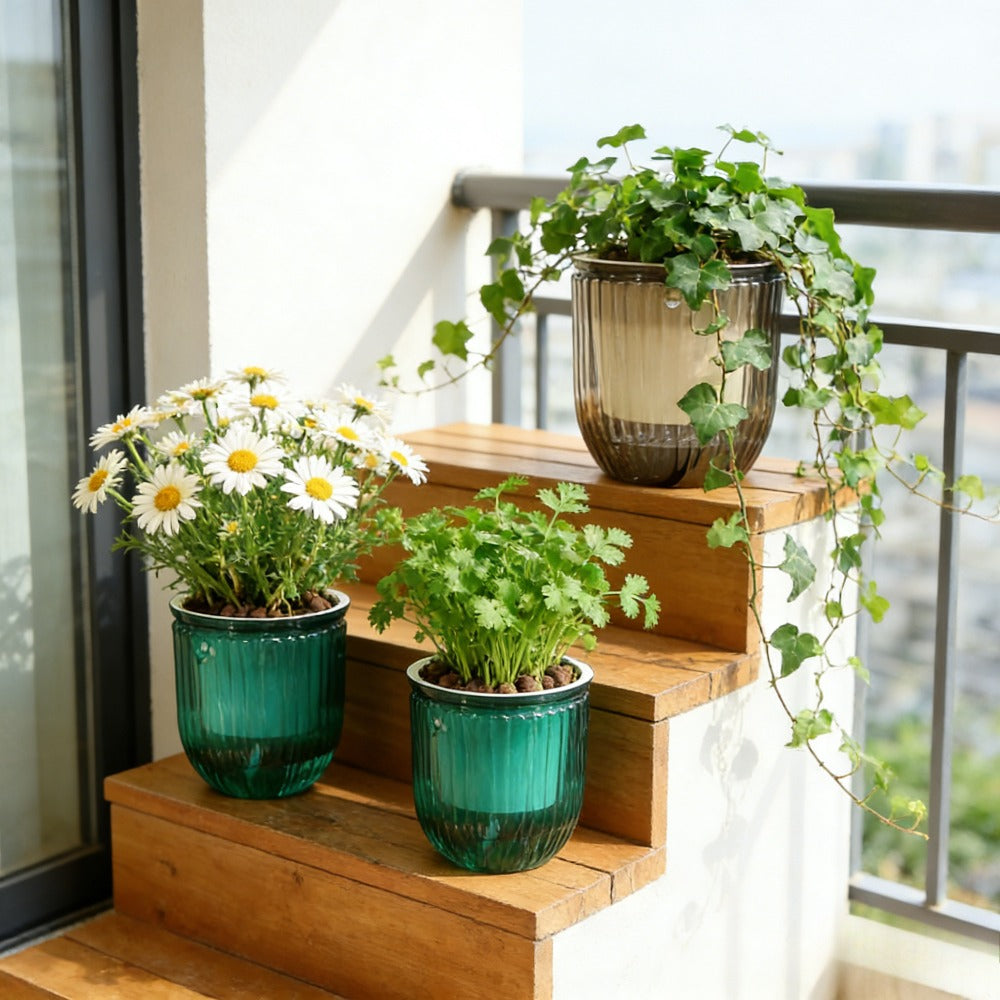 description_selected1