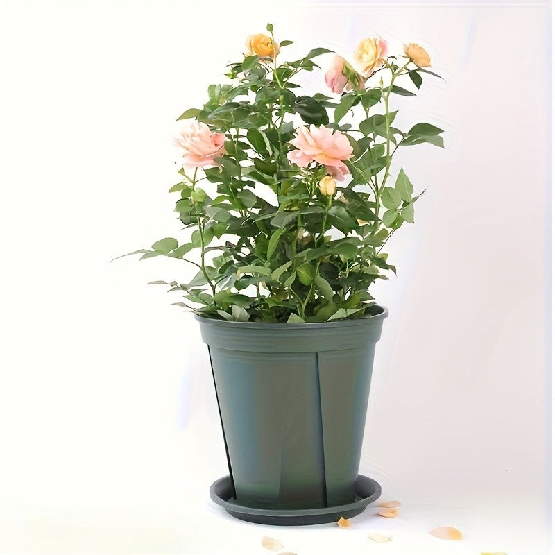 description_selected1