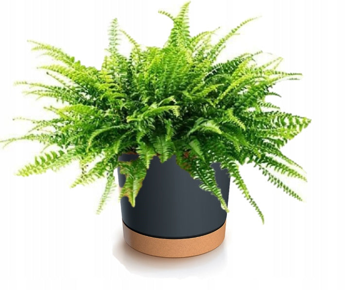 Pot de fleur anthracite Ø 18 cm en plastique avec soucoupe