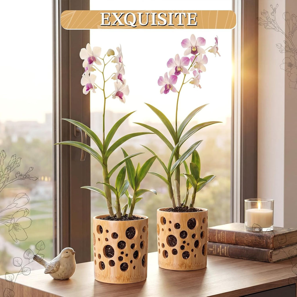 Pot de fleur en bambou ajouré Ø 8 cm pour orchidée et bonsaï