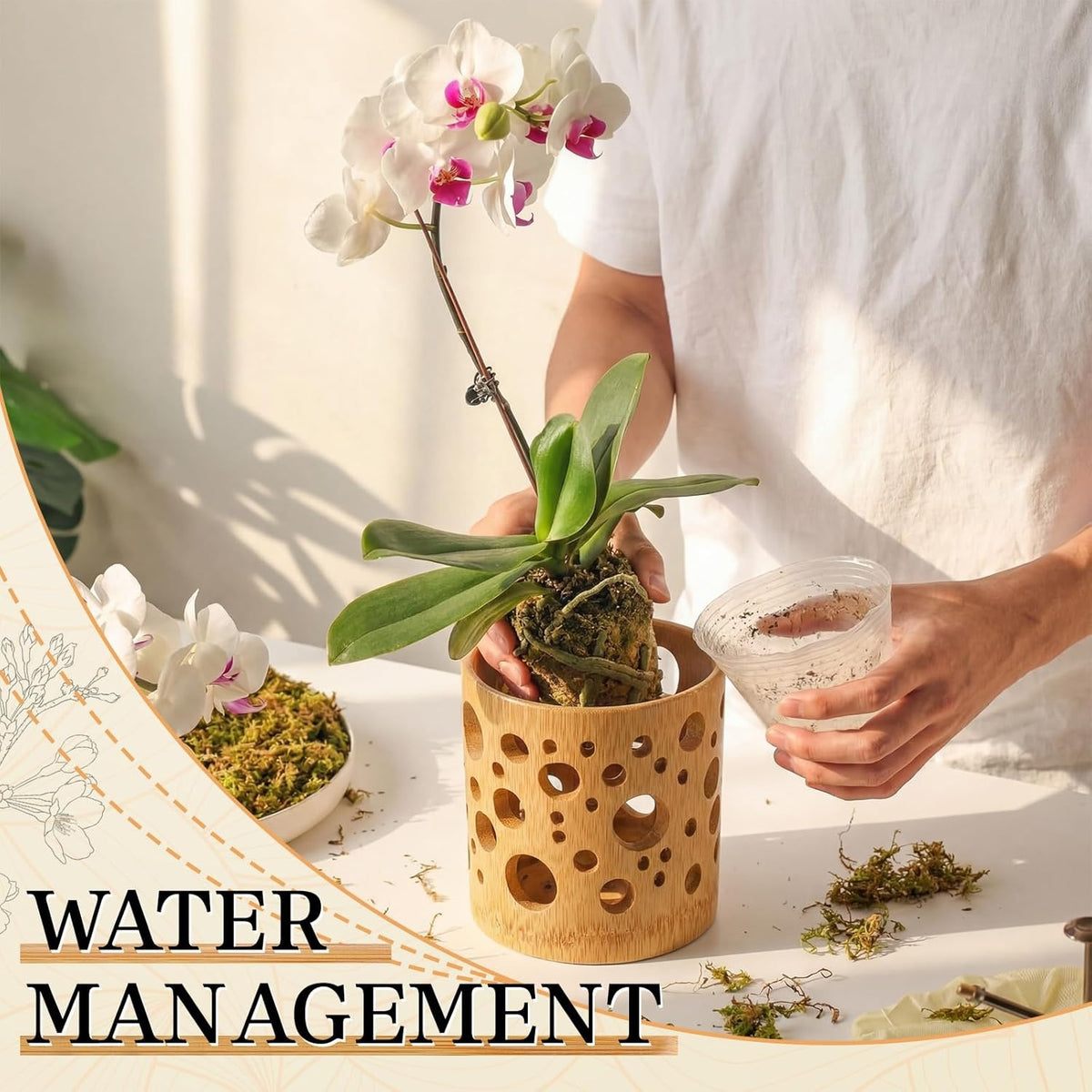 Pot de fleur en bambou ajouré Ø 8 cm pour orchidée et bonsaï